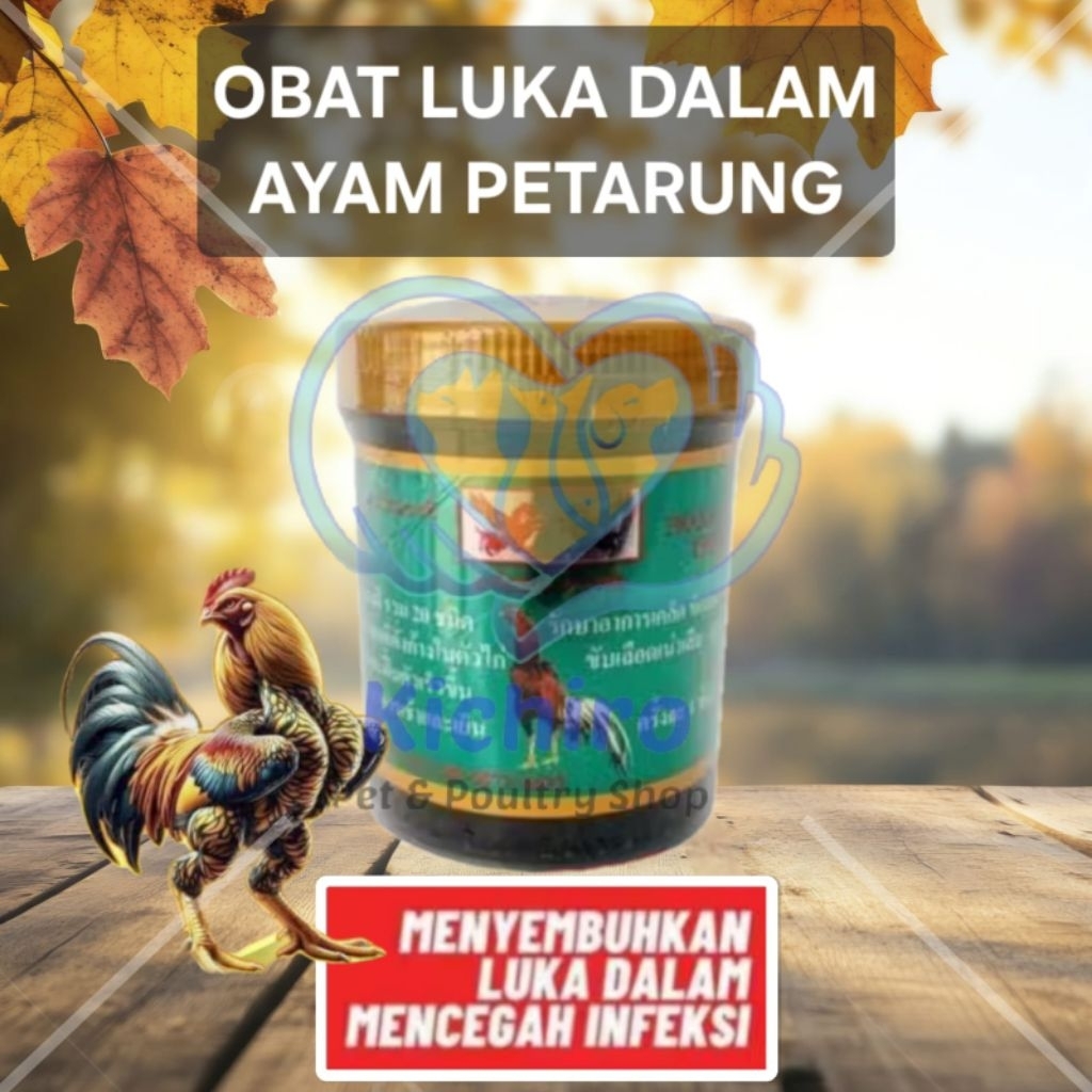 Kamlang Luka Dalam 150 gram Obat Luka Dalam Ayam Laga Bangkok Thailand Import