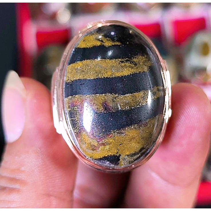 Batu akik Fosil Kelor Sumatera Motif Langka Banget