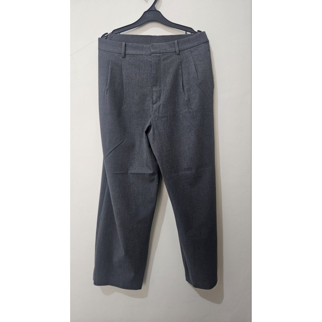 Uniqlo Pleated Wide Pants