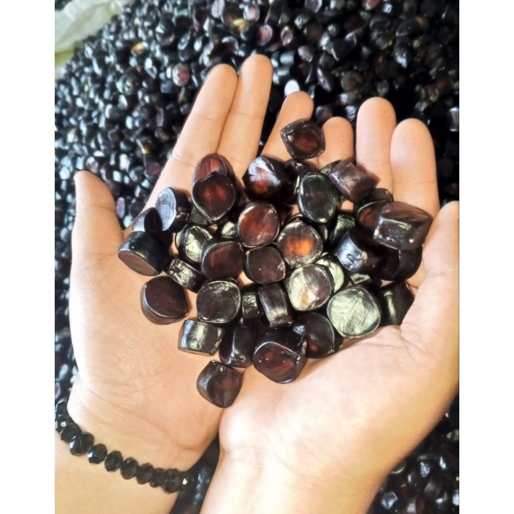 500 gr kabau asli palembang segar