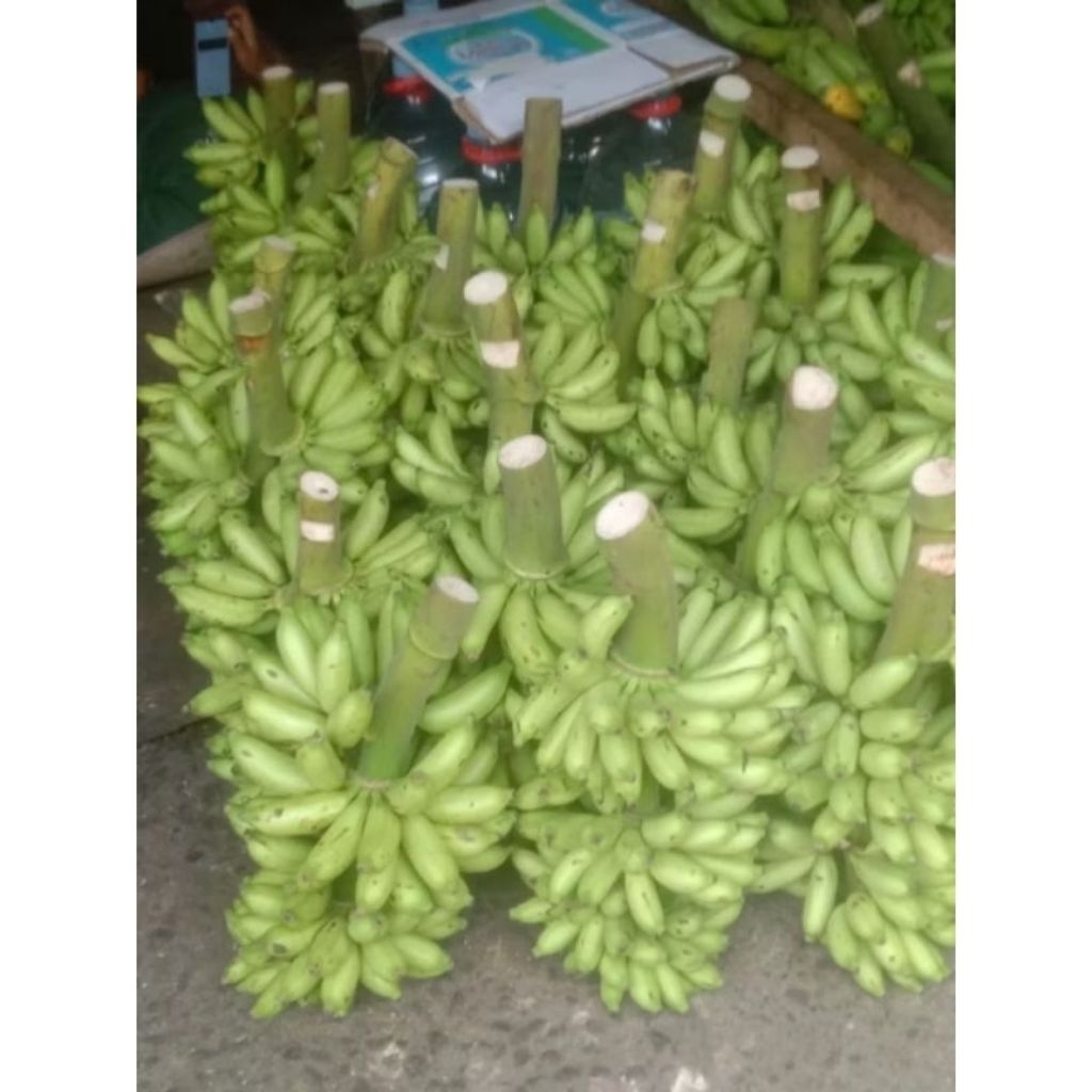 pisang Palembang 1 tandan