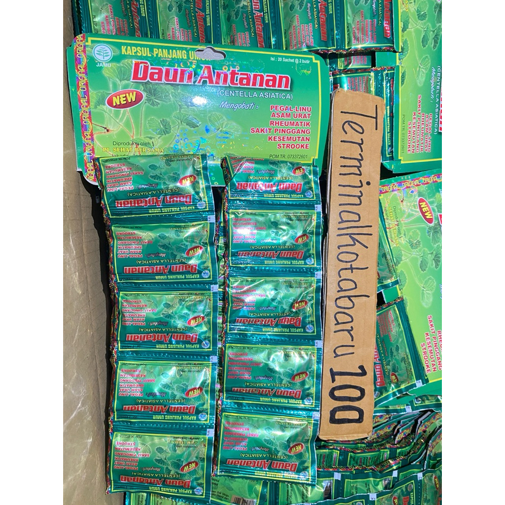 Daun antanan original kapsul