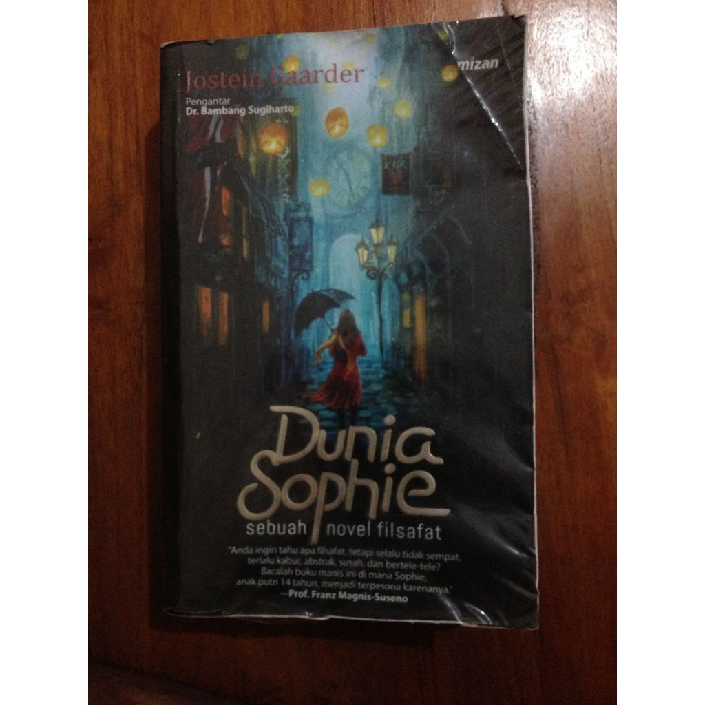 buku dunia shopie