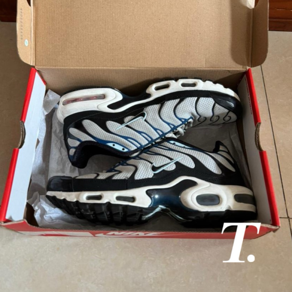 Nike TN Air Max Plus