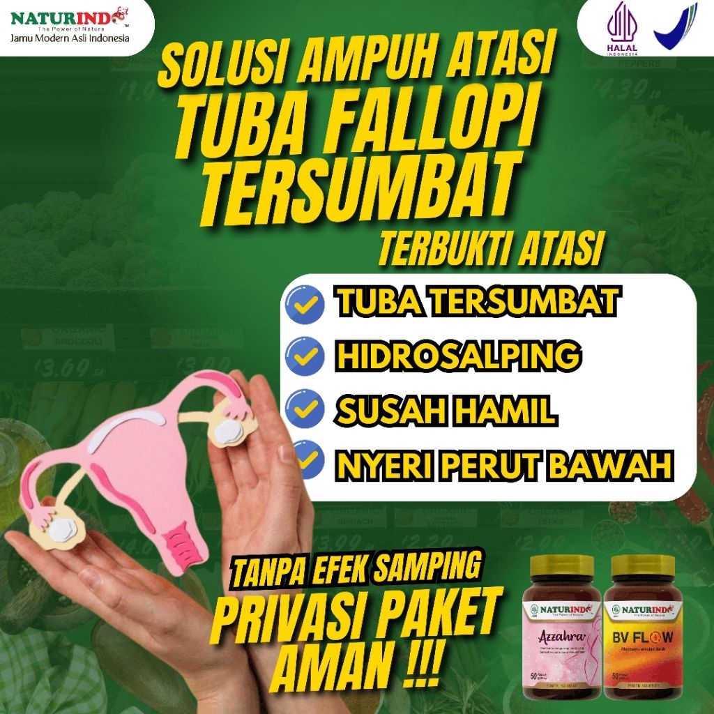 Obat Tuba Falopi Tersumbat Penyumbatan Saluran Tuba Fallopi Hidrosalping Pelancar Saluran Tuba
