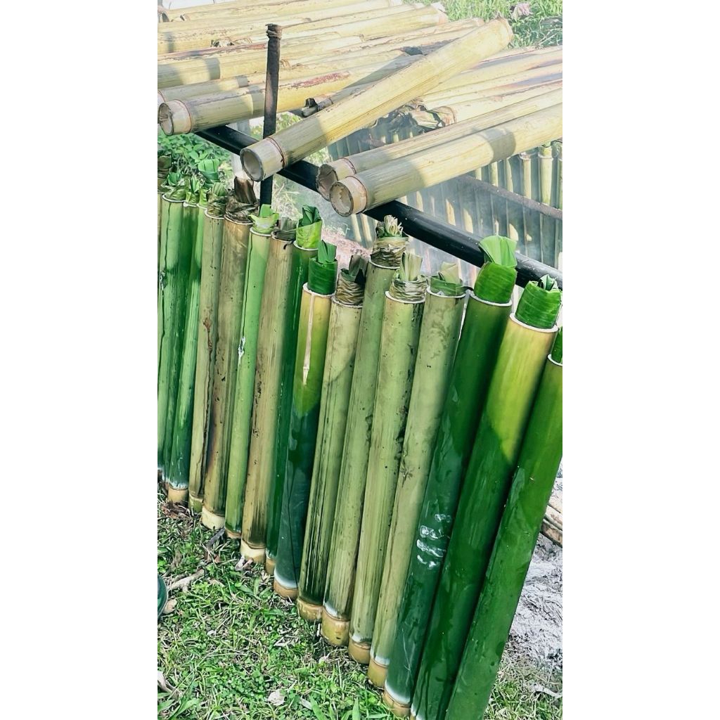 Termurah Bambu Lemang 10 pcs | Bambu Nasi Lemang | Bambu Muda Untuk Nasi Lemang