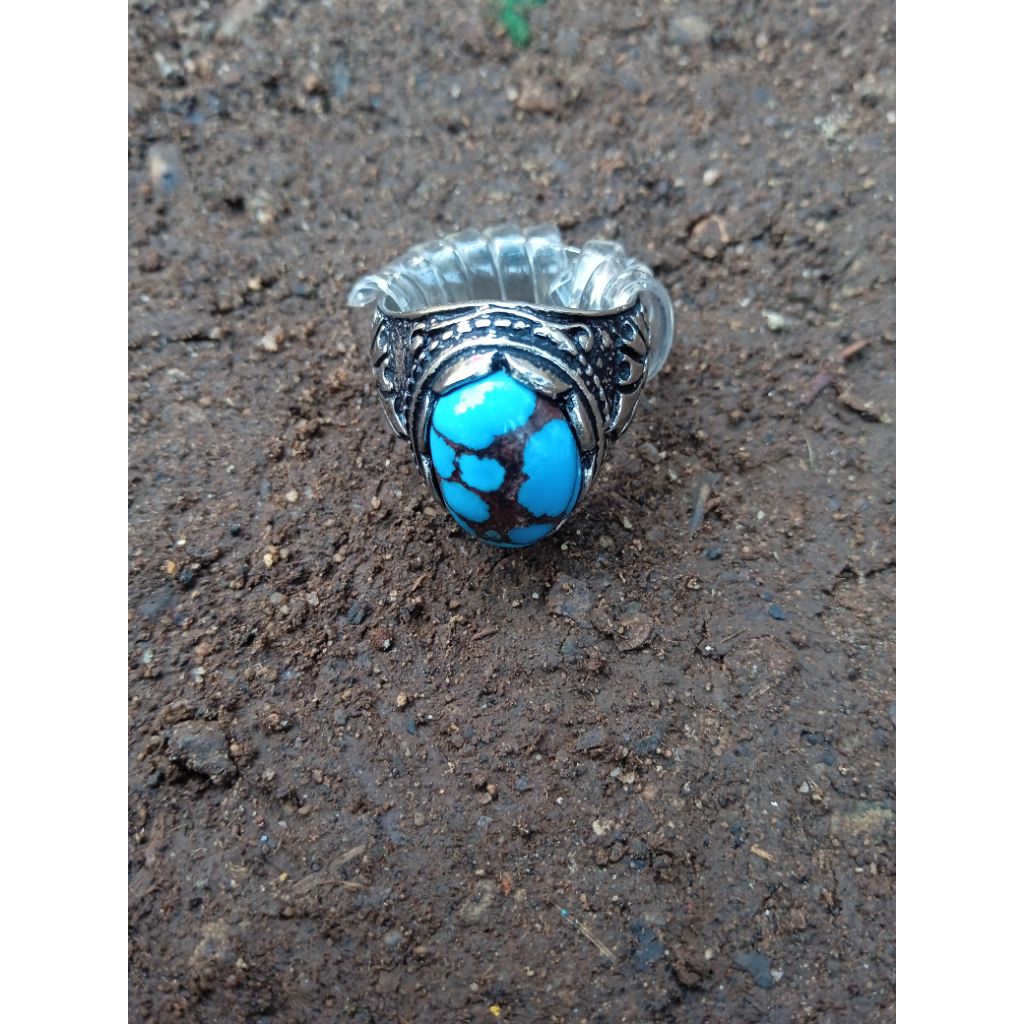 pirus mesir istimewa urat merah kuro