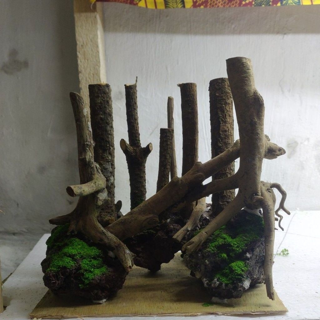 aquascape murah tema jungle size 25*20*20 cm fullset/non fulset tinggal isi air aja siap pandang