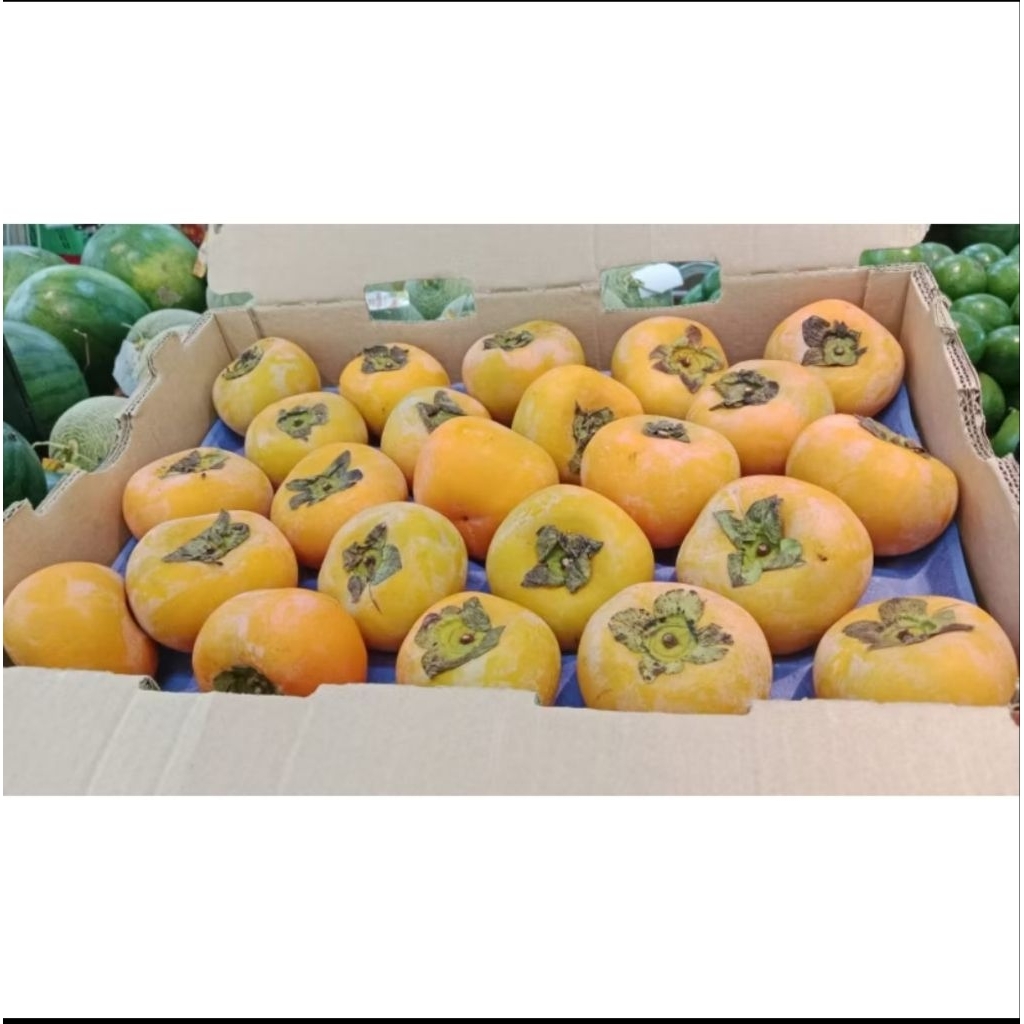 buah kesemek import super murah fresh 1kg