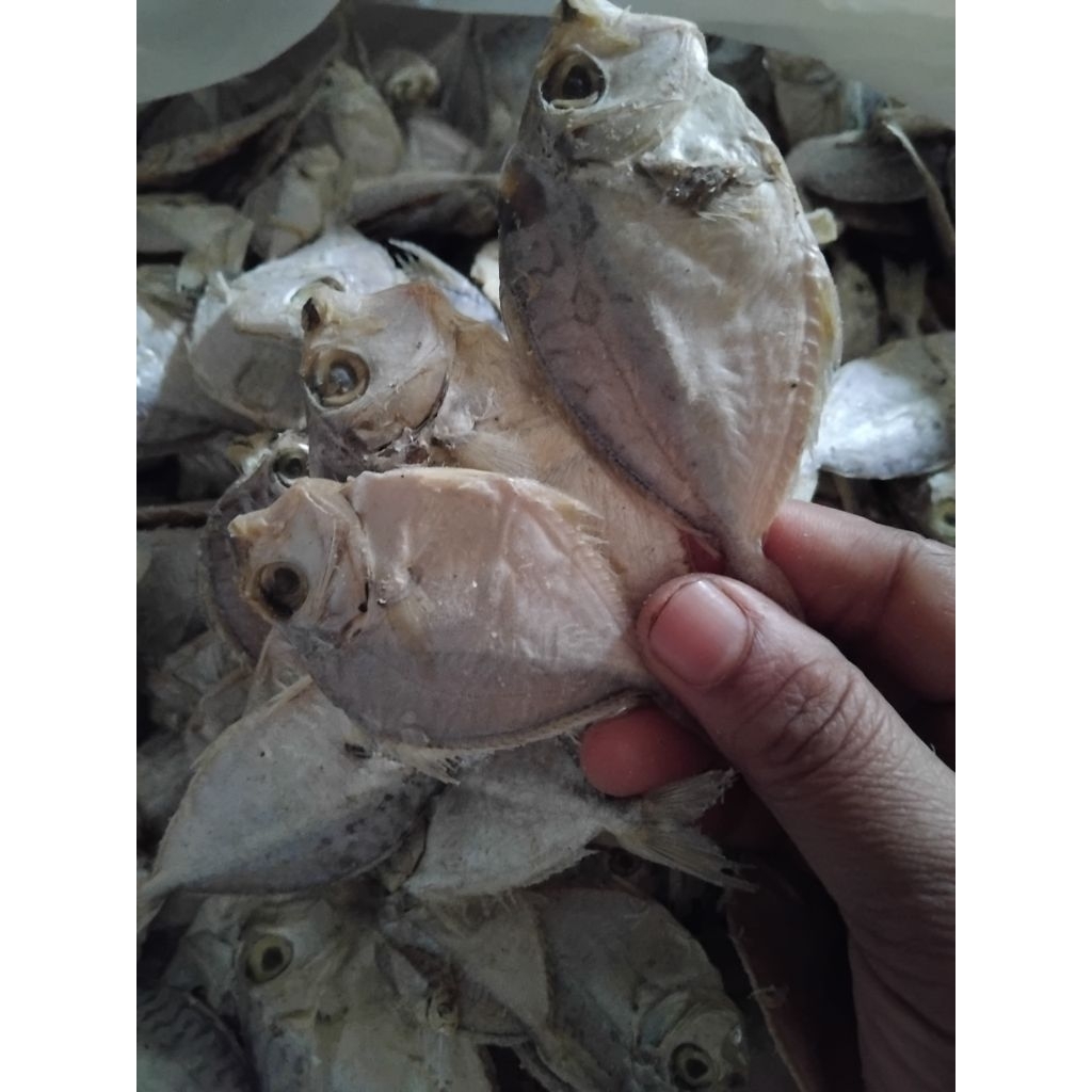 IKAN ASIN DODOk 500 gram.