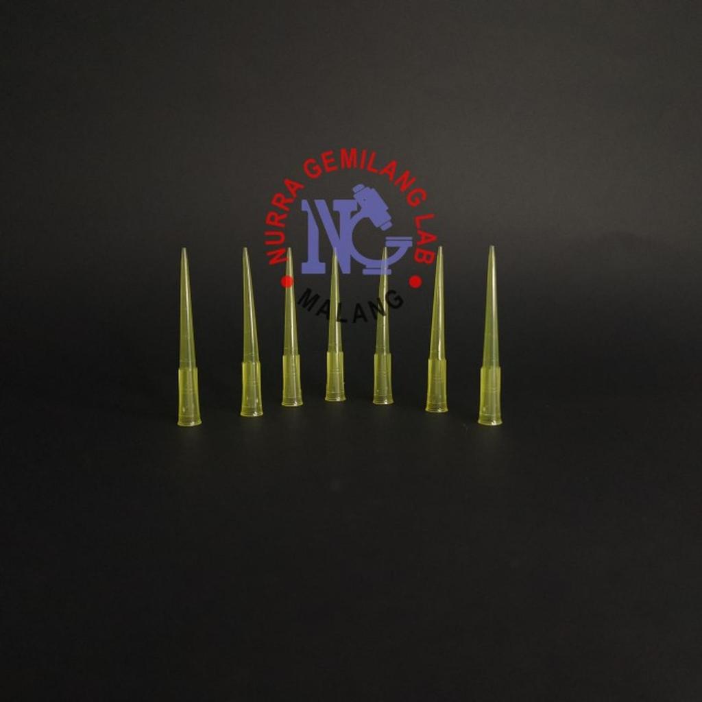 Yellowtip Yellow Tip ECER