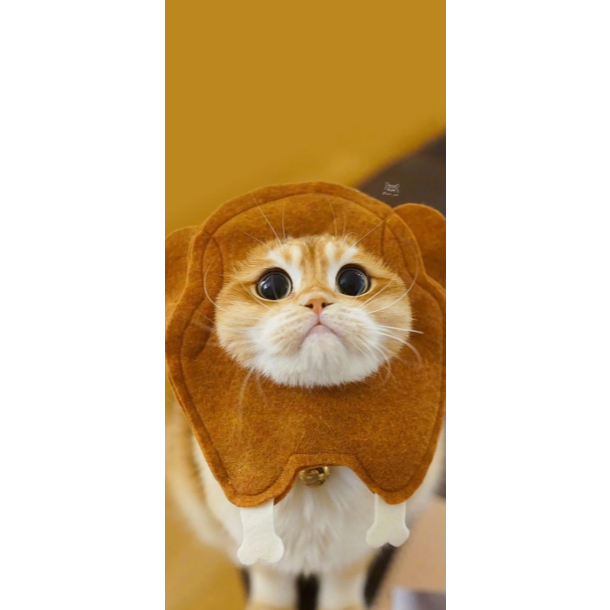 Poster Anak Kucing Gambar Hewan Peliharaan Lucu untuk Pecinta Kucing Hadiah