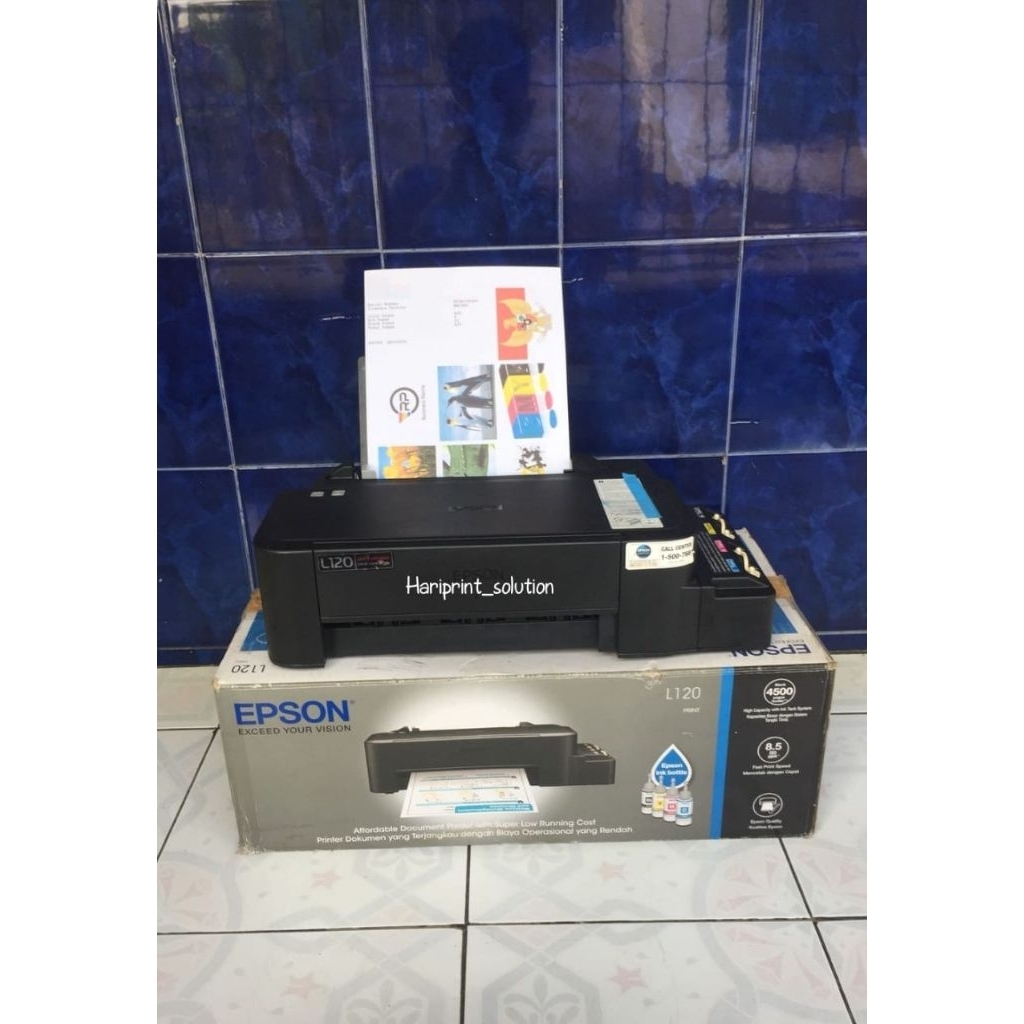 printer Epson L120 (second)