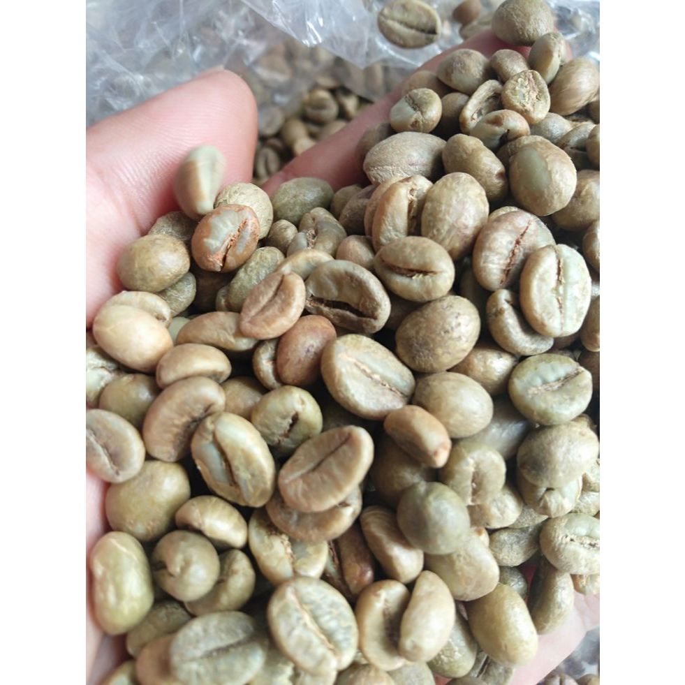 BIJI KOPI MENTAH ASLI PACITAN