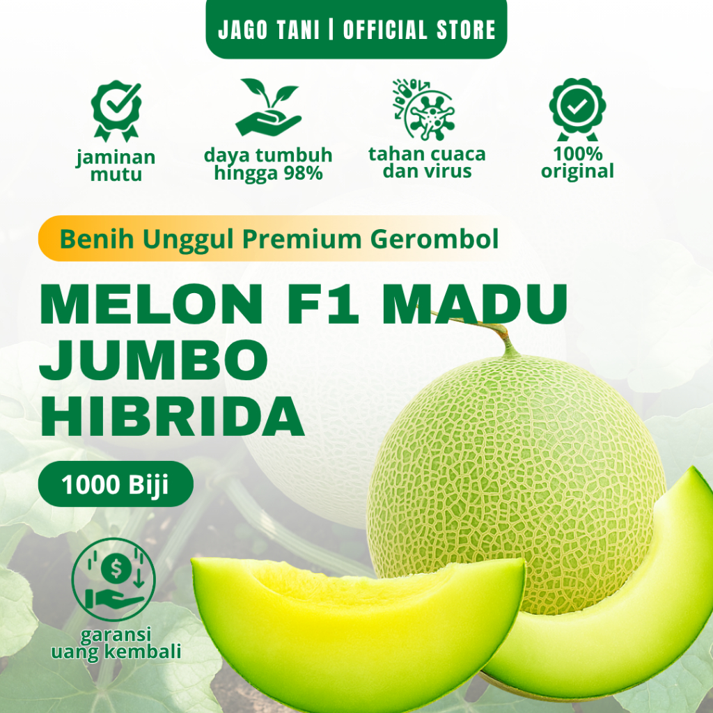 Benih Melon MANDALA F1 benih unggul melon madu ORIGINAL (isi 1000 biji)