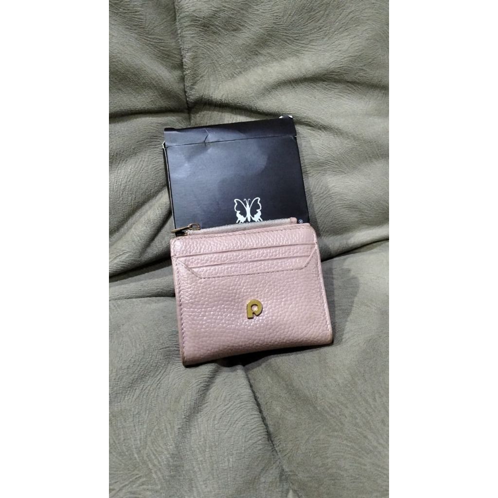 preloved papilon