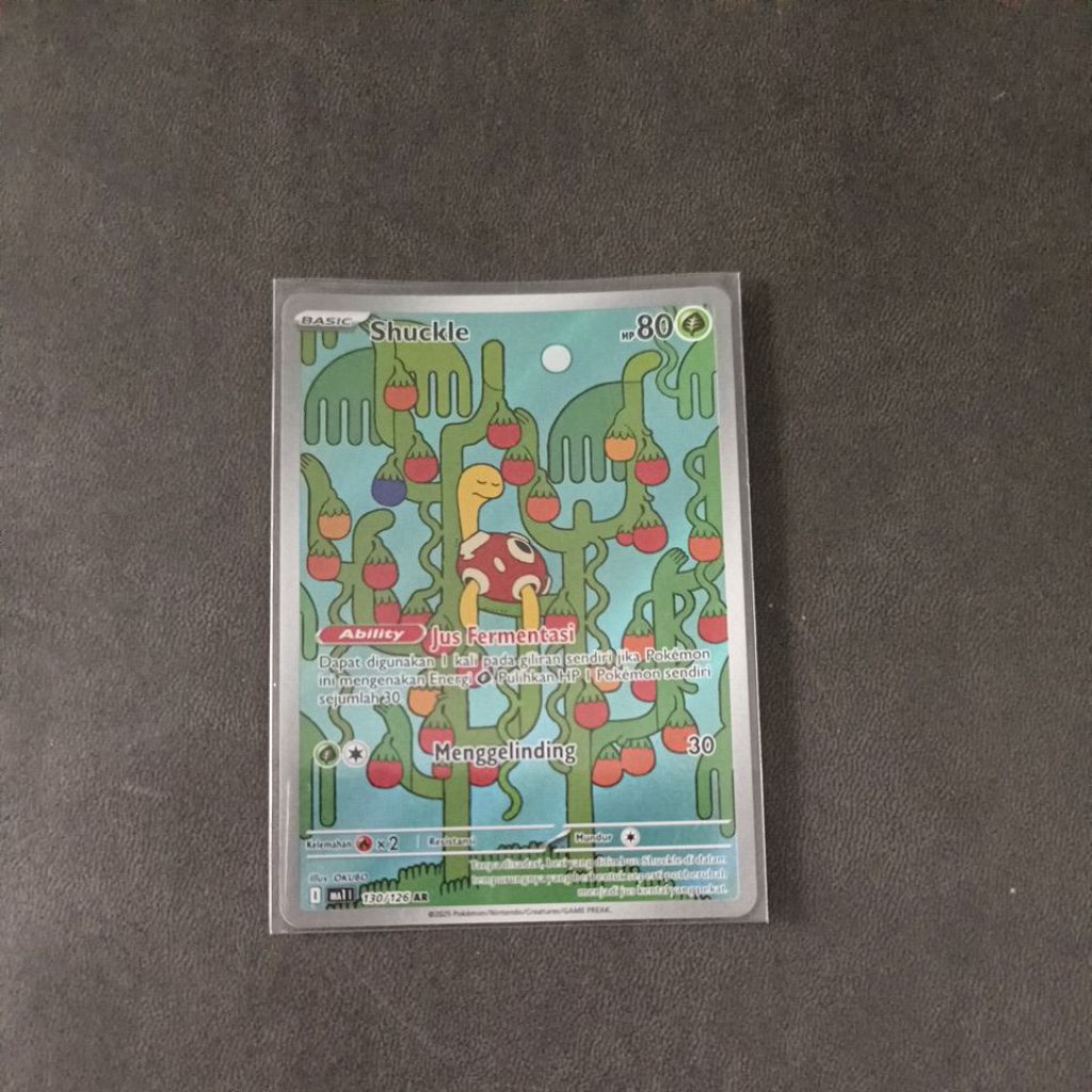 Kartu Pokemon Indonesia - Shuckle AR