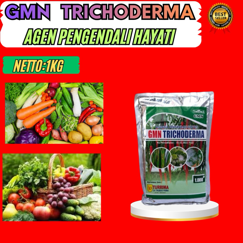 SOLUSI PETANI  GMN GMN Trichoderma Jamur Atau Bakteri GMN GMN Trichoderma Japonicum Isi 1kg