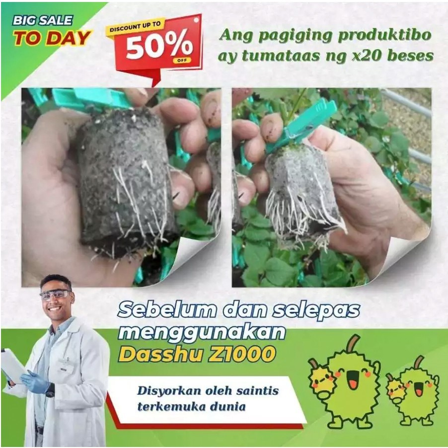 Dasshu Z1000 Original Pupuk Perangsang Akar Tunas Jepang - 1Kg