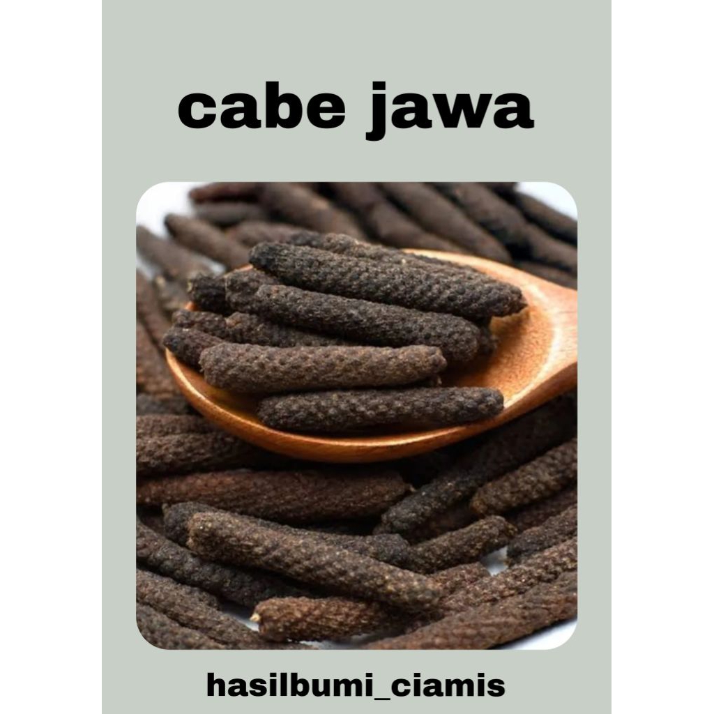 Cabe jawa / cabe jamu premium / cabe puyang rempah / jamu premium TERMURAH