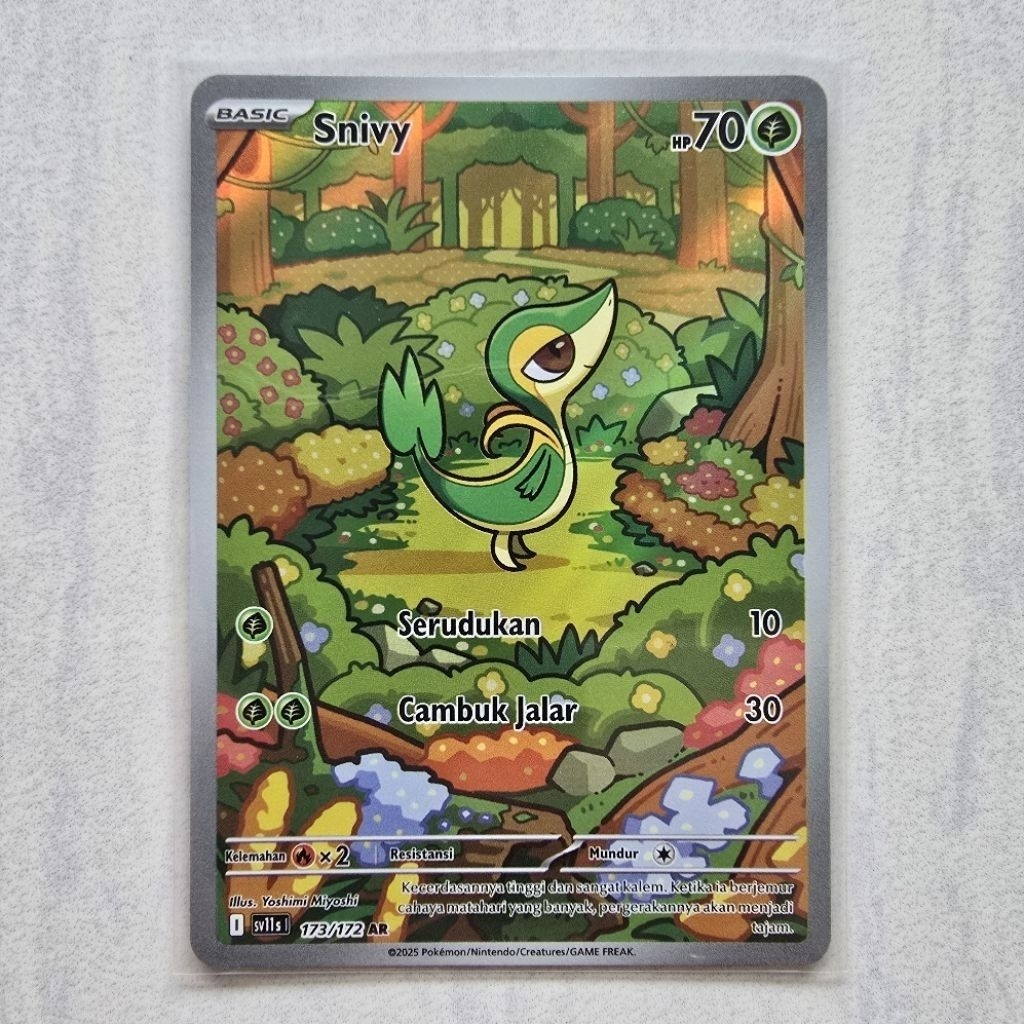 Snivy AR 173/172 sv11s Hitam & Putih Pokemon TCG Indonesia