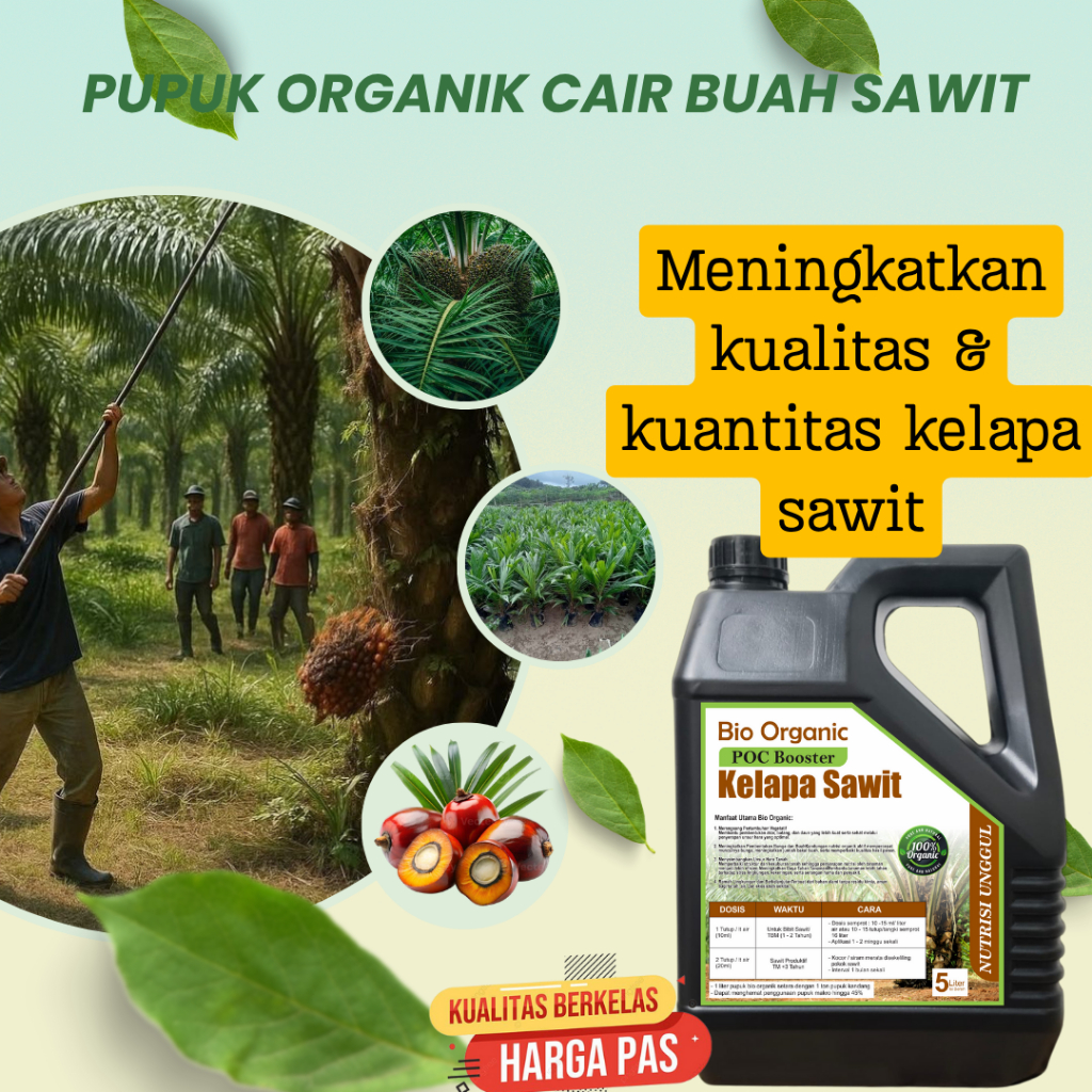 pupuk sawit agar buah besar dan lebat bio organik Pelebat Buah Sawit Super Cepat Berbuah