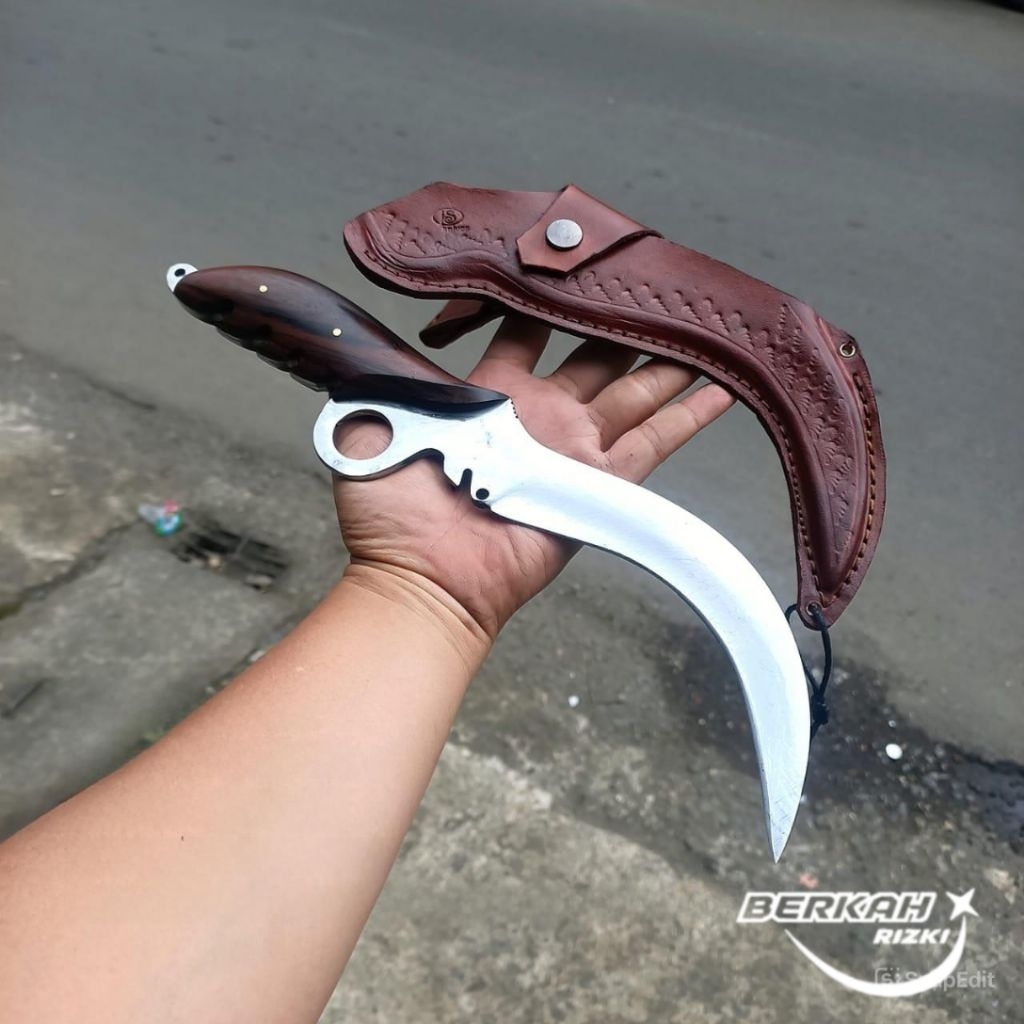 P1sau Kudi merpati putih untuk survival kehutan