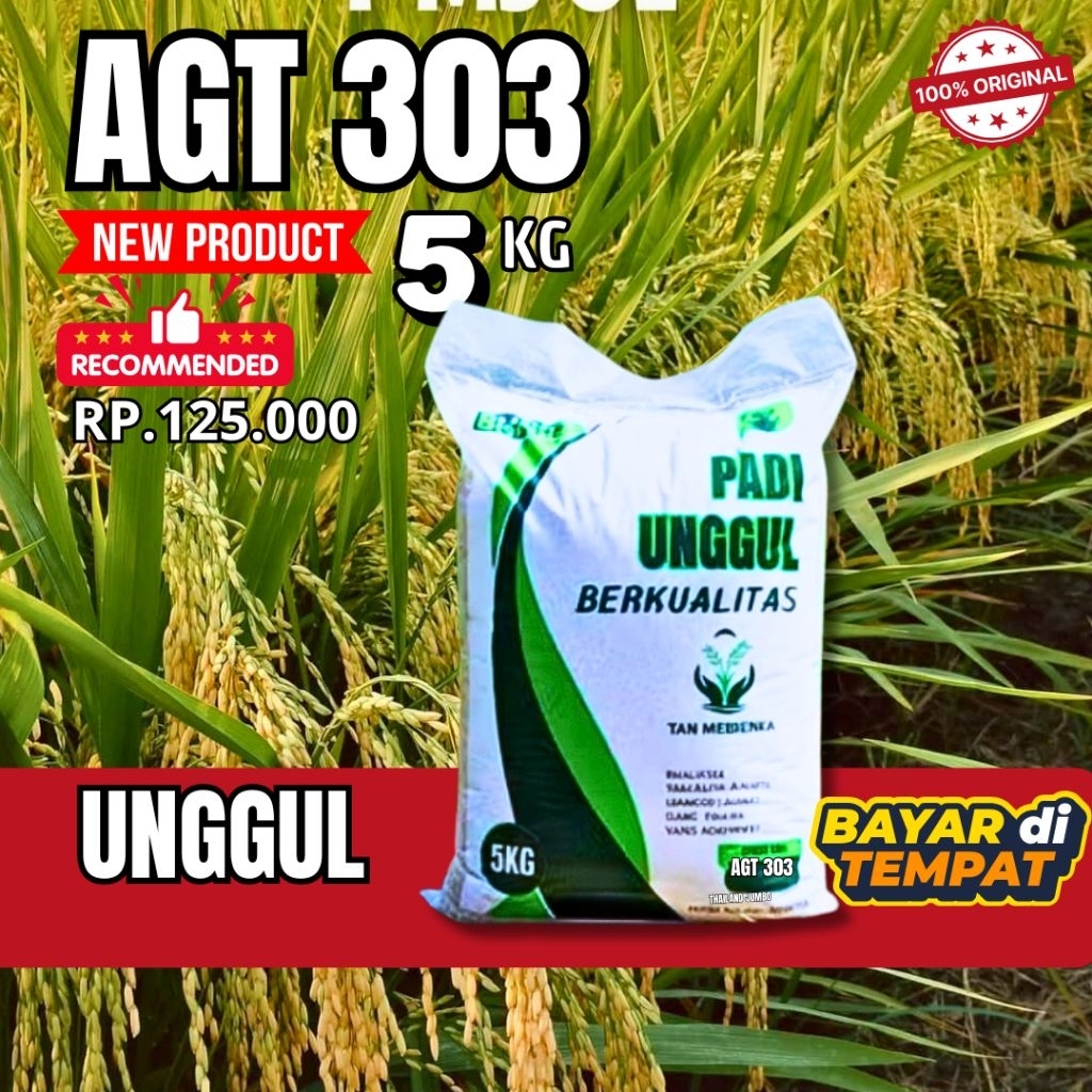 Benih padi unggul benih padi AGT 303 5Kg