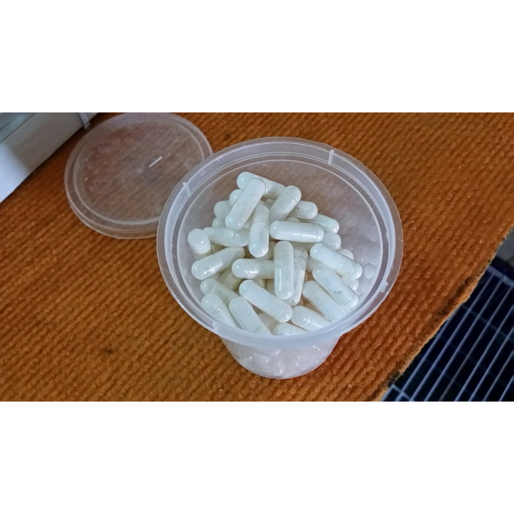 Kapsul tulang sotong penguat tulang ayam aduan & burung 100pcs