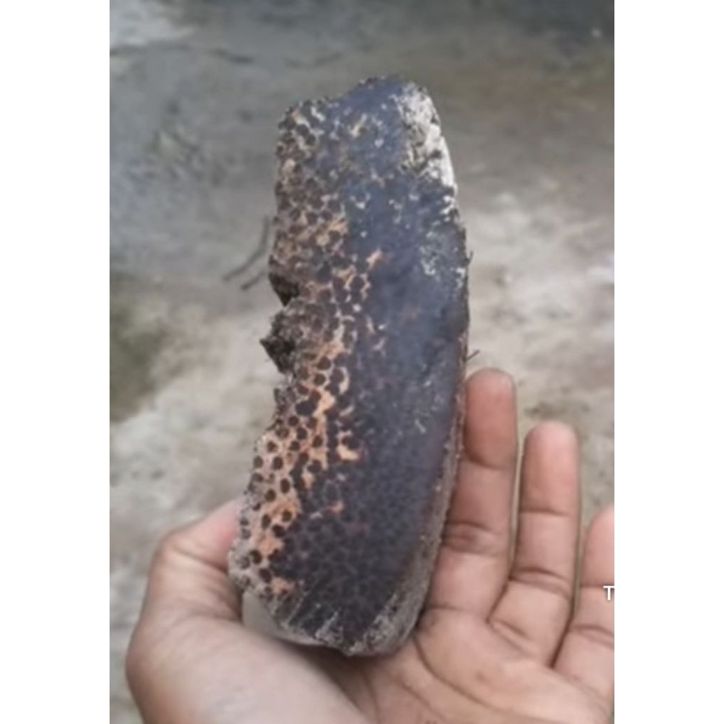 bagan kayu liwung bahan kerajinan 1 kg