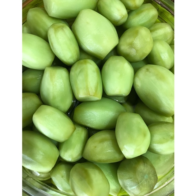 Bibit Buah Kedondong Mini Tanpa Biji Sudah Berbunga