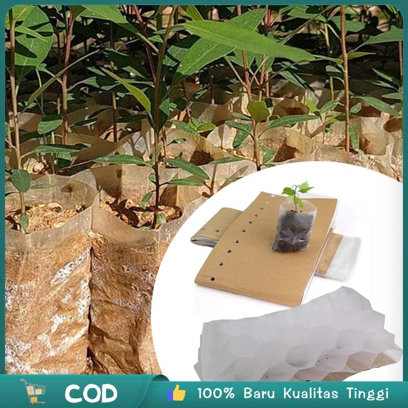 350 Lubang Plastik Semai Benih Polybag Bibit Cabe 7 X 11/8x13 Cm Polibek Kecil Semai Plastik Tanaman