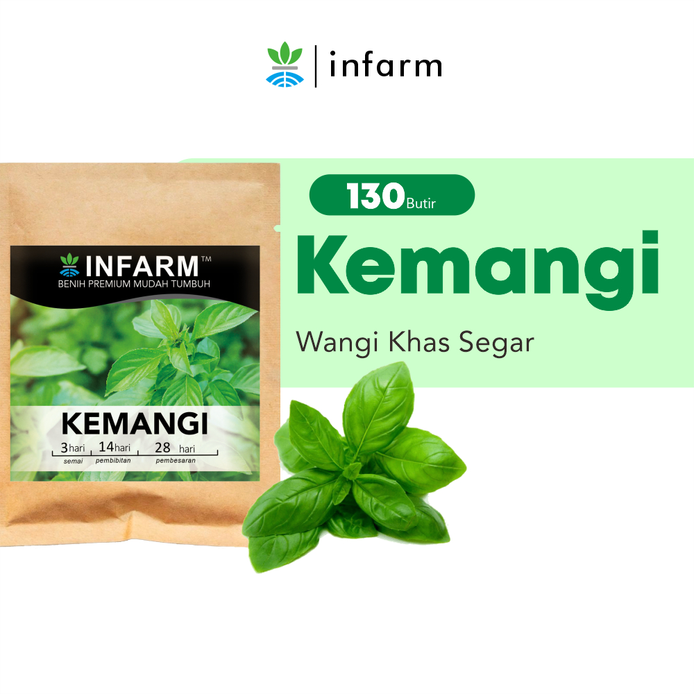INFARM - Benih Bibit Biji Super Daun Kemangi Unggul Benih Premium Daya Tumbuh Tinggi Cepat Berkecamb