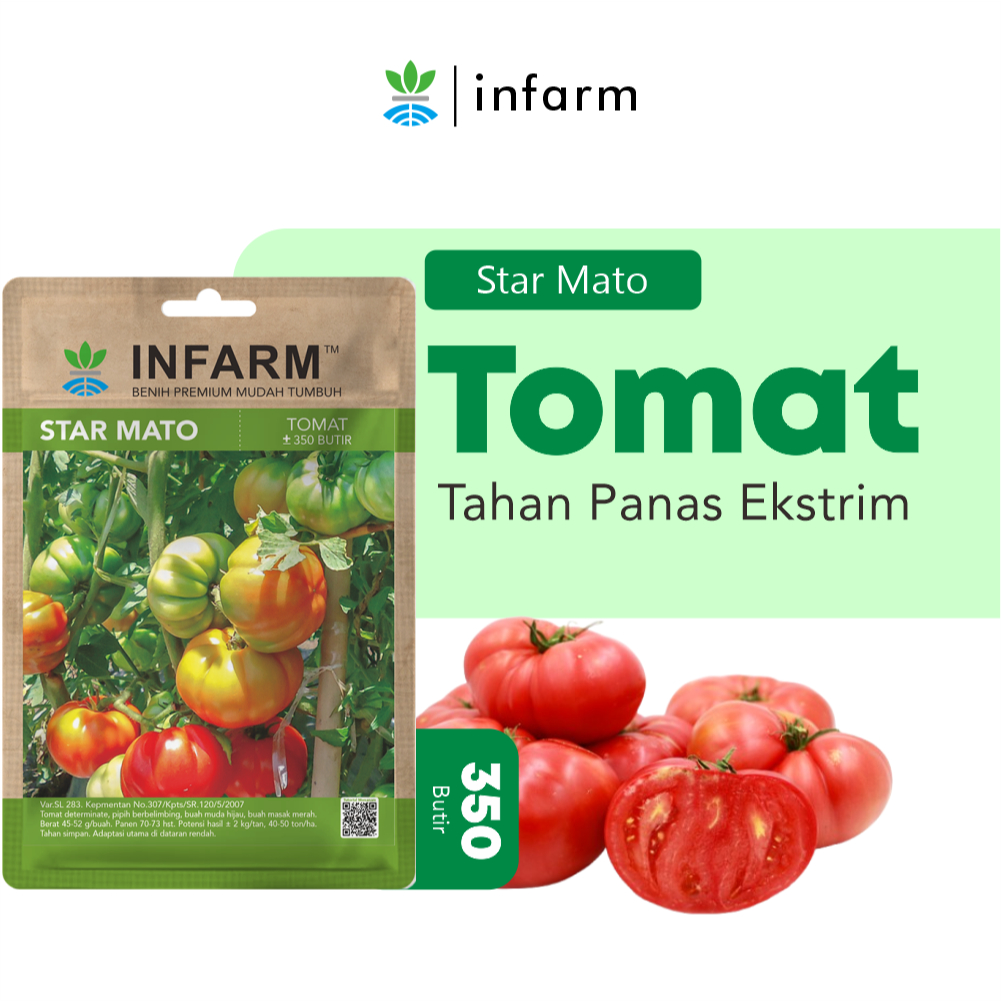 INFARM - Benih Buah Tomat Mawar Super, Bibit Buah Tomat Mawar Premium Biji Buah Tomat Berkualitas Be