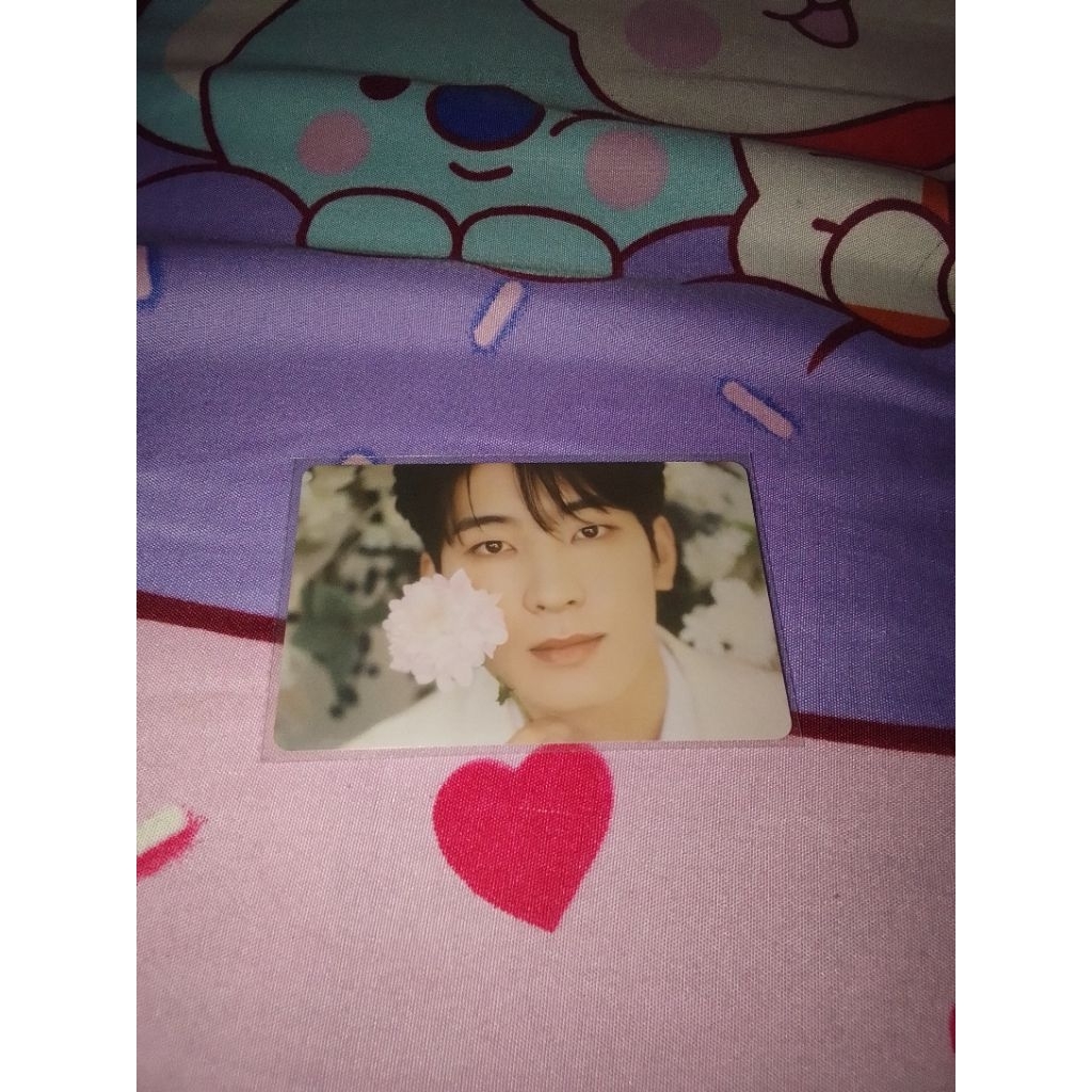 Seventeen PC Wonwoo FML