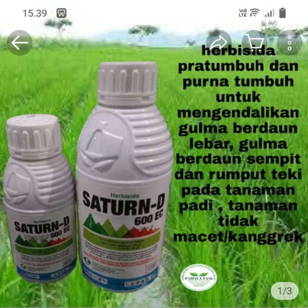 SATURN-D 600EC/tiobenkarb/racun rumput/gulma daun lebar/gulma daun sempit/rumput teki/satrun cair/ o