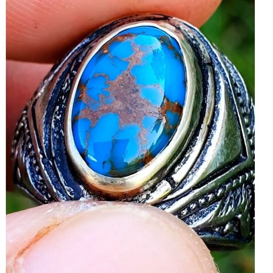 pirus mesir merah biru mantap