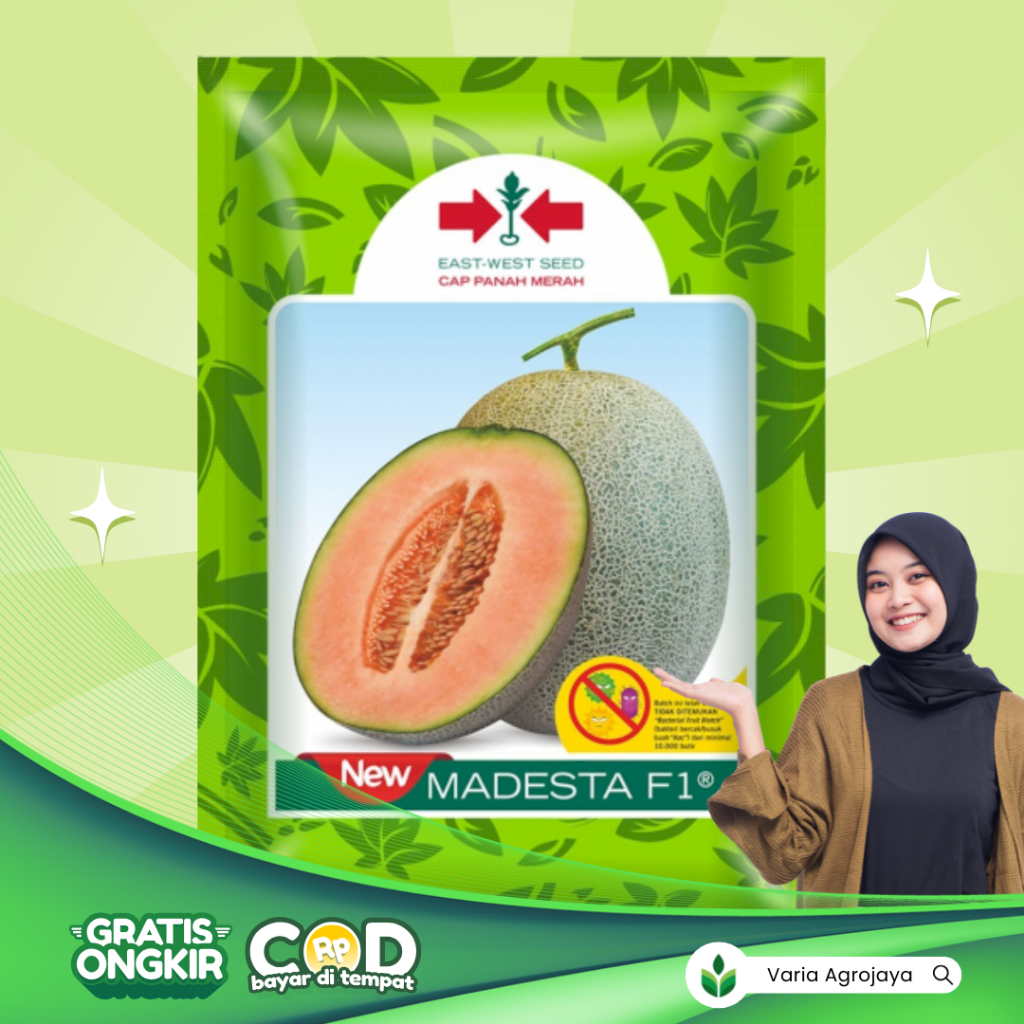 Benih Bibit Melon New Madesta F1 - Cap Panah Merah