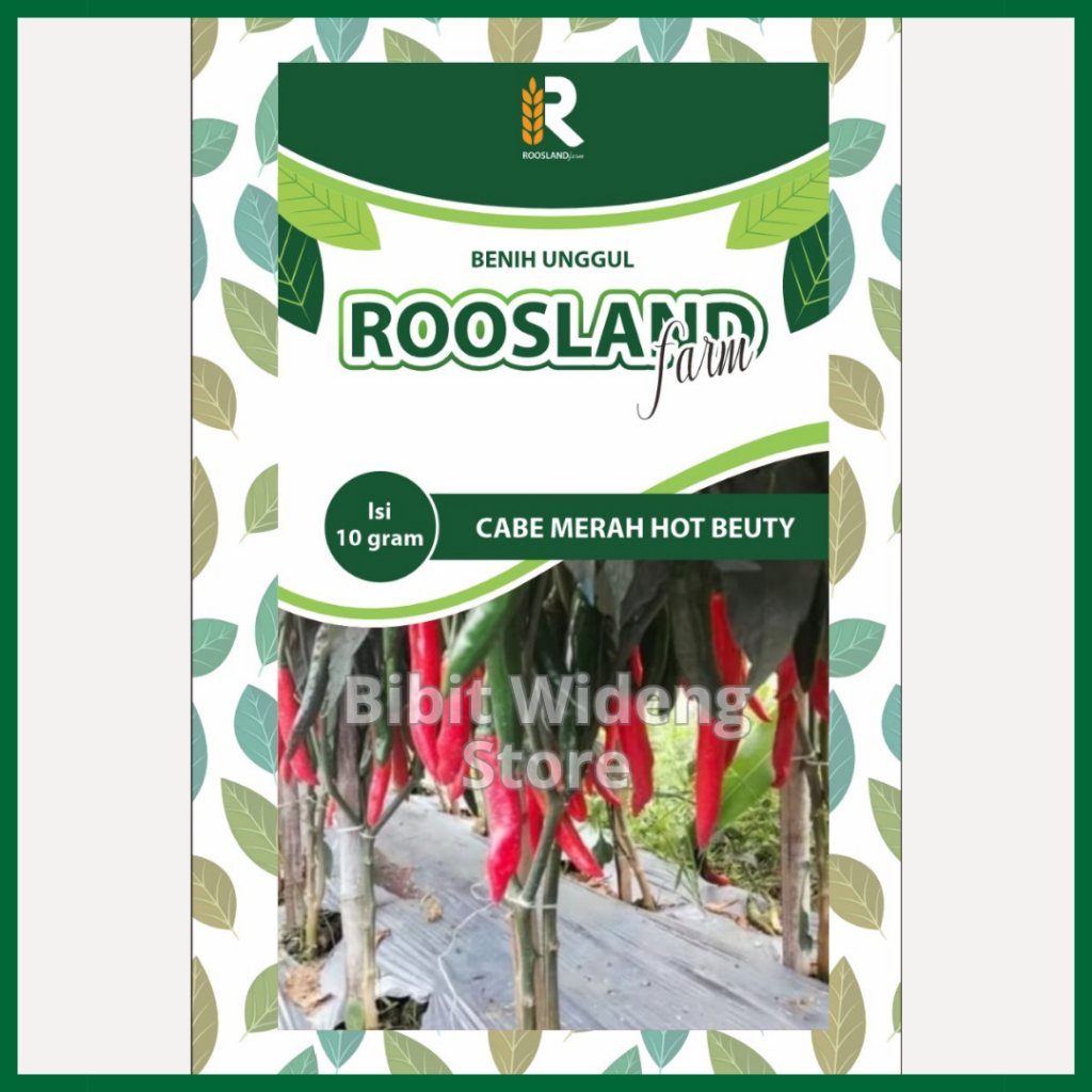 ( 10 GRAM ) BENIH CABE MERAH BESAR | CABAI MERAH HIBRIDA | CABE MERAH HOT BEAUTY