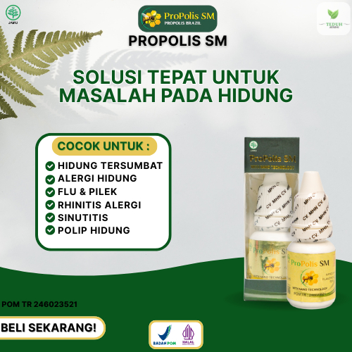 Propolis SM Obat Herbal Hidung Tersumbat Alergi Hidung Pilek Flu Rhinitis Alergi Sinutitis Polip Hid