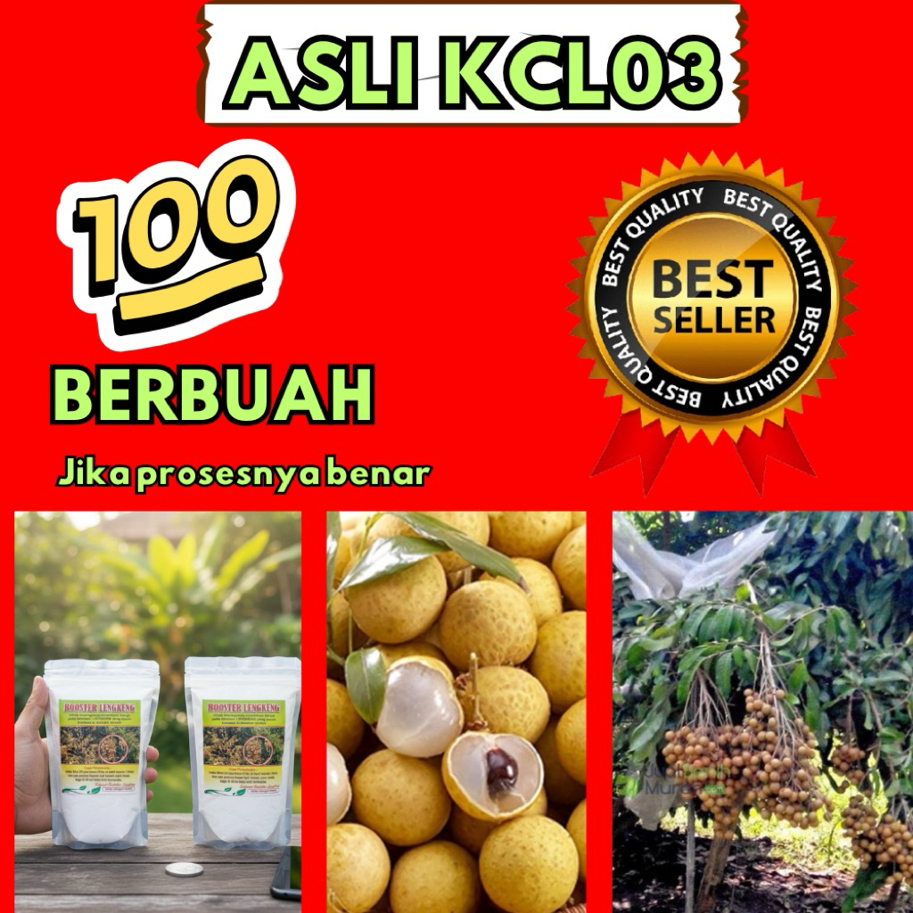 Booster Kelengkeng Serbuk, Booster Kelengkeng Terbaik