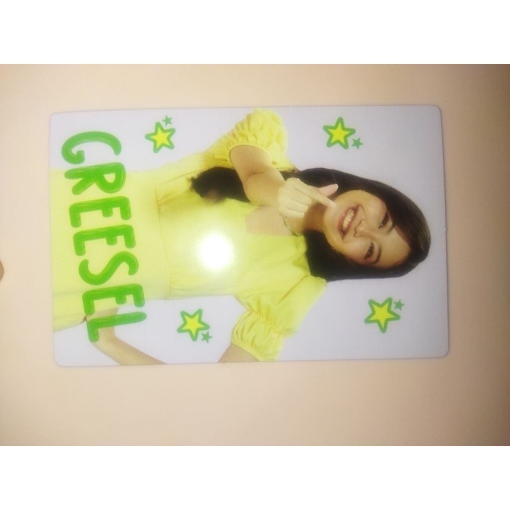 PC JAPOTA GREESEL