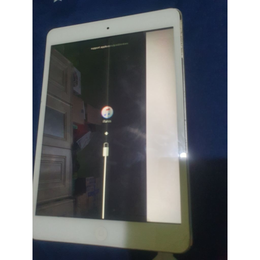 ipad mini 2, minusan