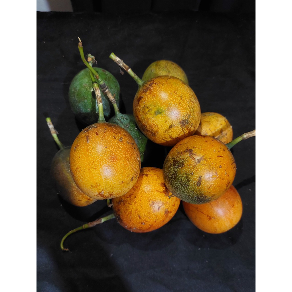 Markisa Manis Madu // Konyal Asli Hutan Freshh Fremium 500gram