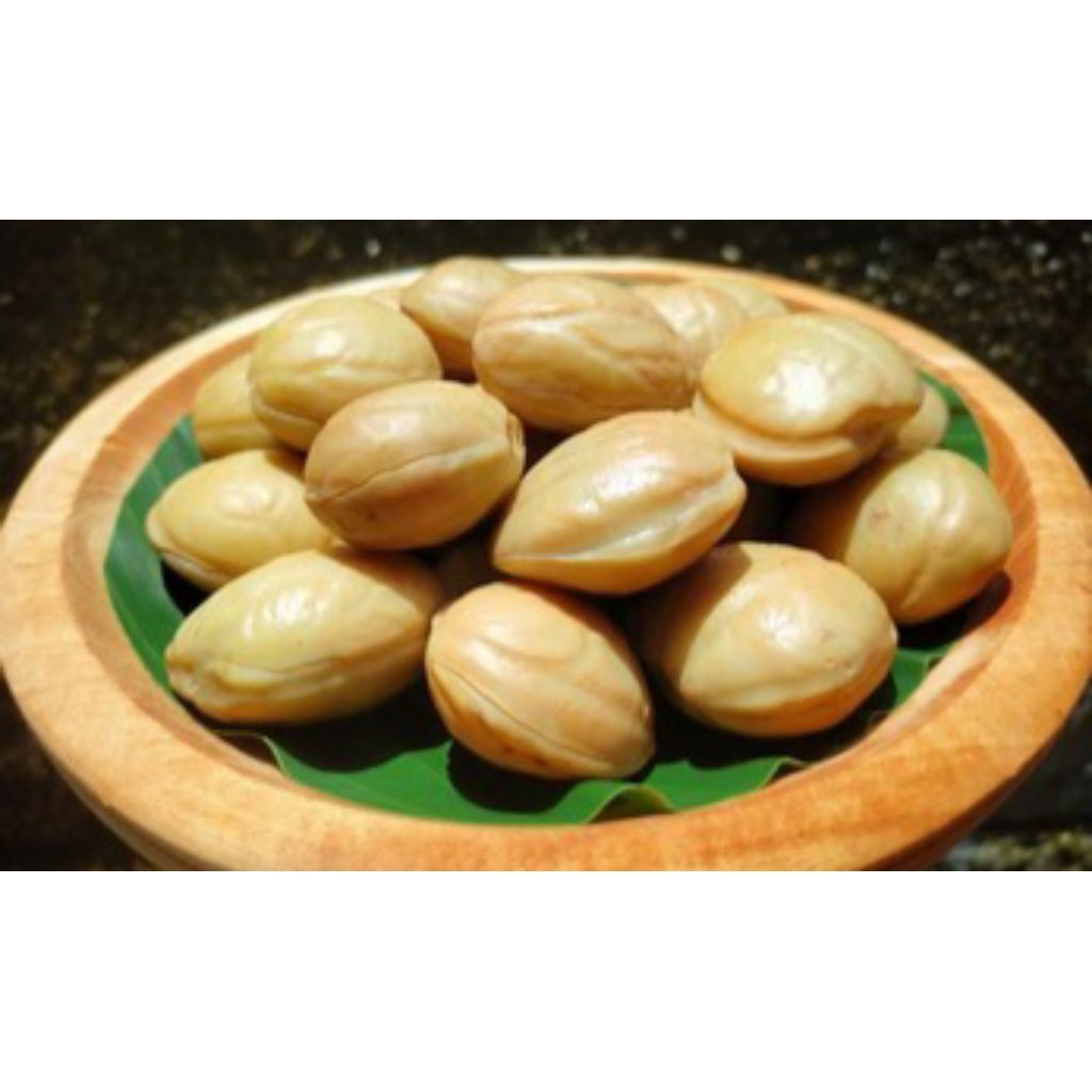 JENGKOL TUA PULEN MASAK/REBUS PAKAI REMPAH2 TINGGAL DI RENDANG, GULAI ATAU SAMBAL 1Kg