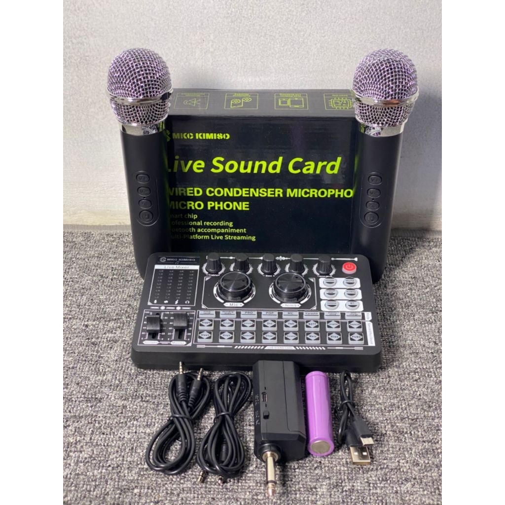 alat karaoke ples 2 mic werles sound card karaoke