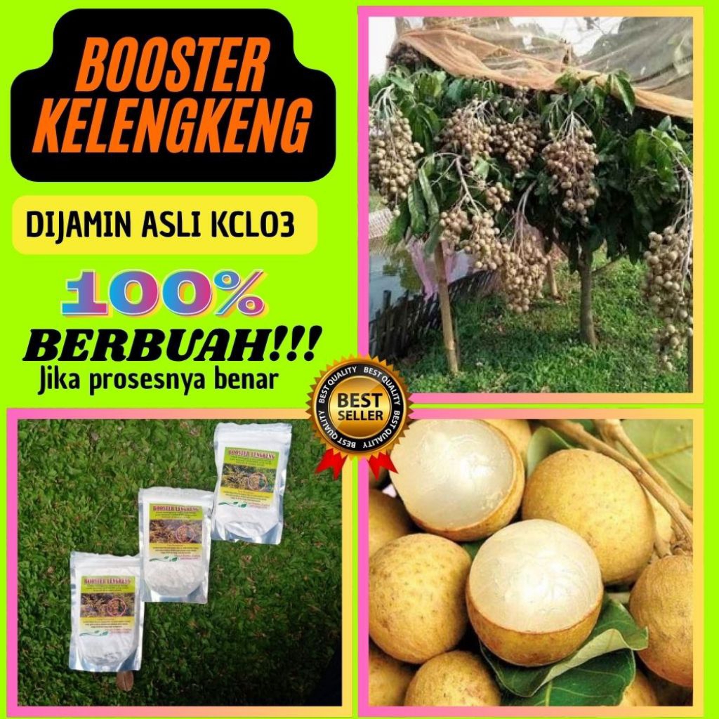 Boster Kelengkeng Buat Kelengkeng, Boster Kelengkeng Cair
