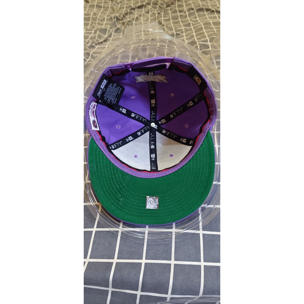 snapback Toronto raptors