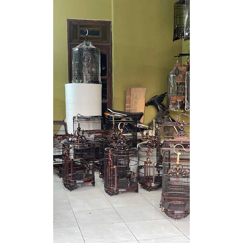 sangkar cungkok anis sangkar cungkok wambi sangkar anis sangkar wambi