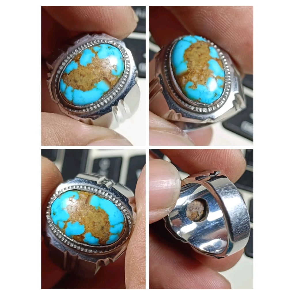 Natural Pirus Persia Gambar Burung wakwak